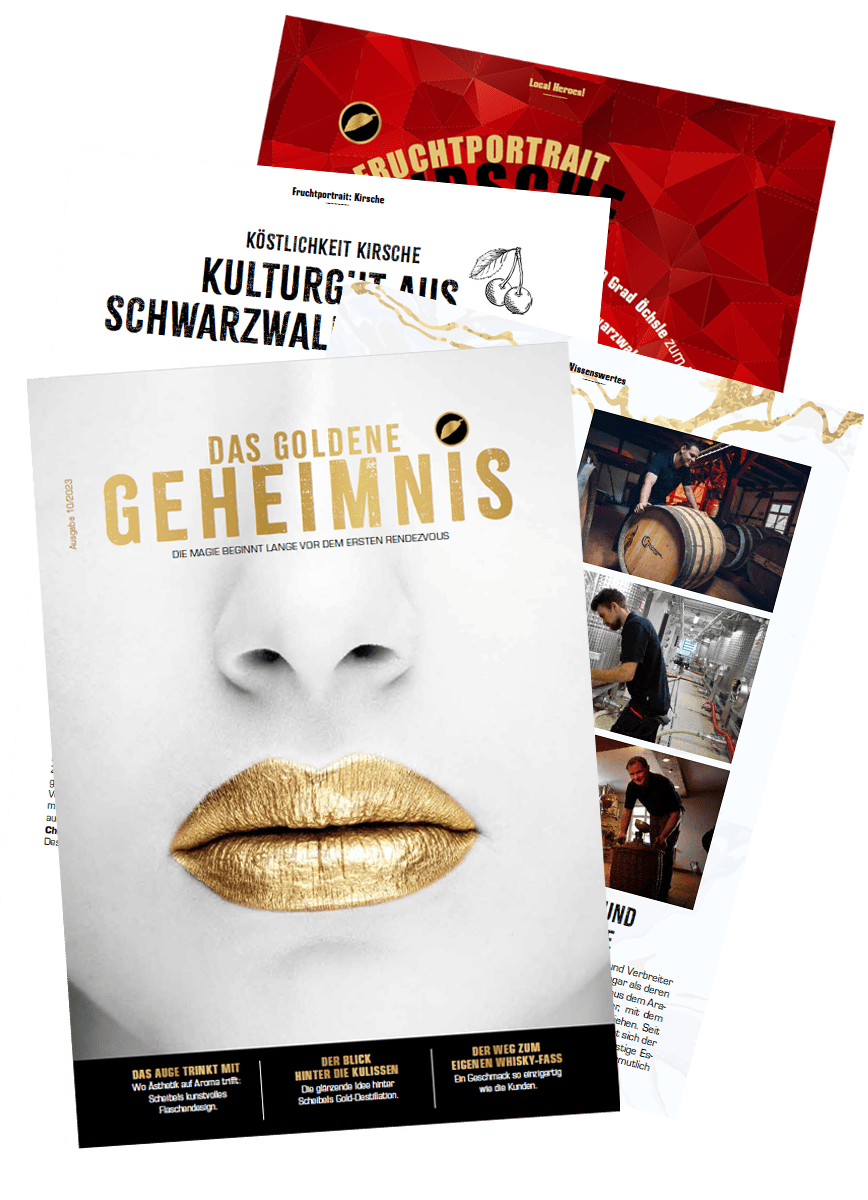 emill-das-goldene-geheimnis-scheibel-magazin-brosch-re image 1