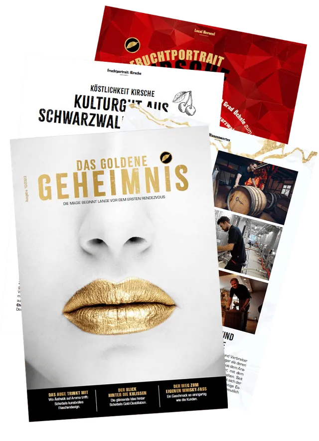 emill-das-goldene-geheimnis-scheibel-magazin-brosch-re image 1