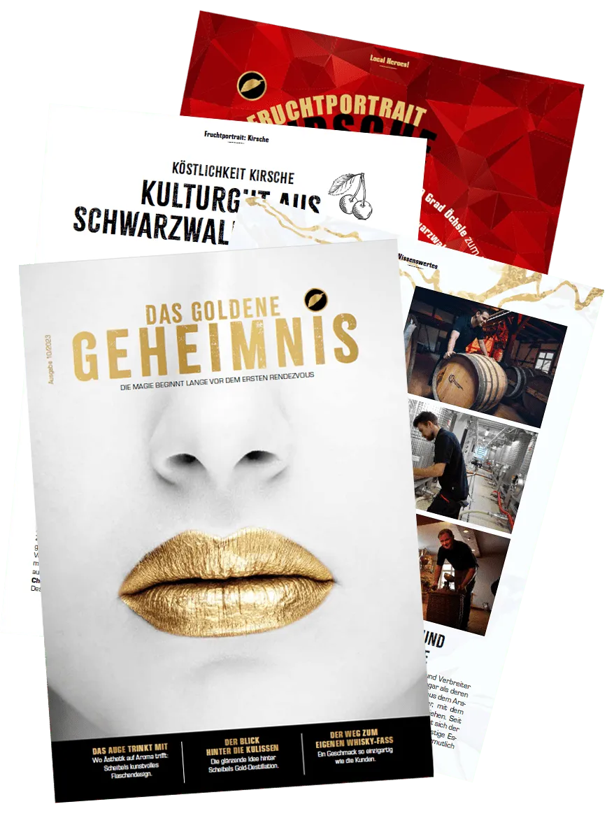emill-das-goldene-geheimnis-scheibel-magazin-brosch-re image 1